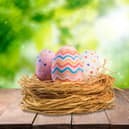 Green Easter with eco-friendly Easter eggs (photo: adobe)