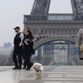 A woman wearing a protective mask walks her dog on the Esplanade du Trocadero square in front of the Eiffel Tower in March 2020 (Photo: Pascal Le Segretain/Getty Images)