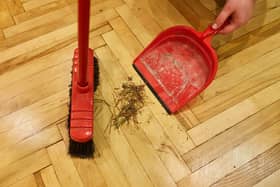 How to remove problem pine needles (photo: Shutterstock)