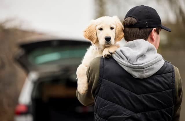 Environment Secretary George Eustice said there has been a “worrying” rise of pet thefts during the Covid pandemic, but said the creation of the pet theft taskforce will help deal with the issue (Photo: Shutterstock)