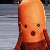 Kevin the Carrot seen here in Aldi's 2022 Christmas campaign, but there’s a new toy being launched (Image: Aldi)