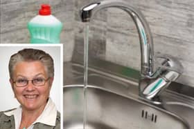 Water shortages could be a problem for Central Bedfordshire; (inset) Cllr Alison Graham