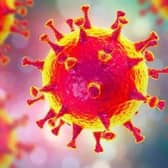 Coronavirus latest     (stock image)