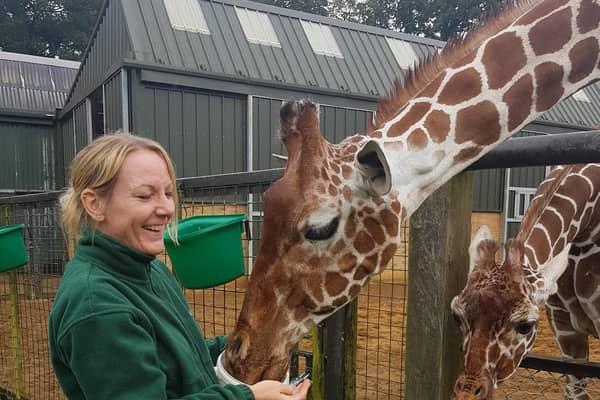 Karla with giraffes at ZSL Whipsnade Zoo (C) ZSL