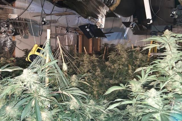 The cannabis factory was located in an industrial unit off Grovebury Road