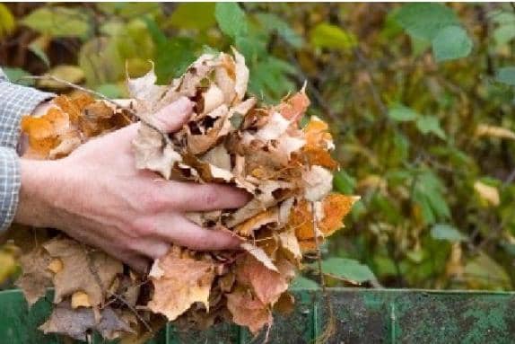 Garden waste collections will resume in Central Bedfordshire