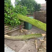 The branch fell into the couple's garden