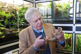 Launch of Amphibian Arks Year of the Frog campaign in 2008 (C) ZSL