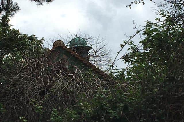 The top of the mystery cottage pokes out from the foliage. Photo: Paul Brown.