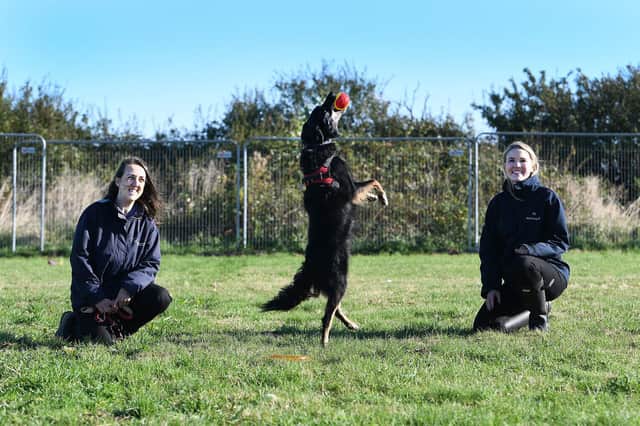 Dogs at the Aspley Guise charity now have more freedom to run about