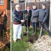 LEFT: Andrew Selous planting trees with Lewis Morrison from the Tree Council, and Cllr Harvey. RIGHT: Cllr Morris, Cllr Perham, Cllr Harvey and Chris Stevenson.