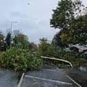 The Met Office has issued warnings which includes possible danger to life and trees coming down