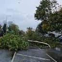 The Met Office has issued warnings which includes possible danger to life and trees coming down