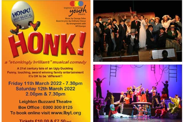 The poster for Honk!, and right, photos from previous productions Half a Sixpence (top) and Barnum. Photos: LBYT