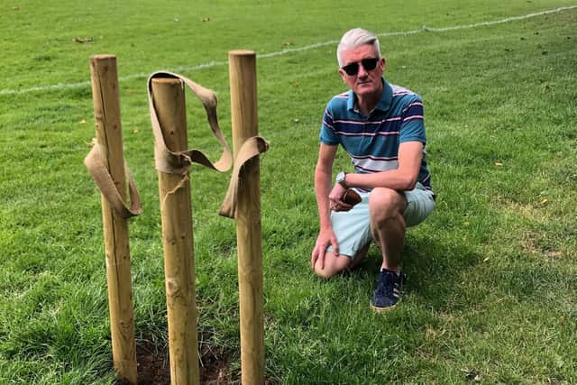 Cllr Pat Carberry in Pages Park where one of the saplings once stood. Photo: Cllr Carberry.