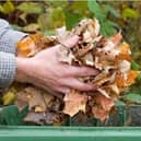 Garden waste collections across Central Bedfordshire will remain suspended