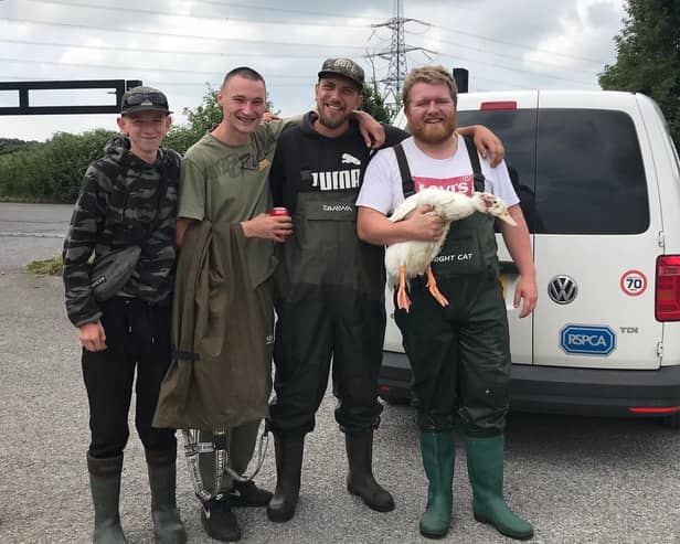 Fisherman saved two of the ducks