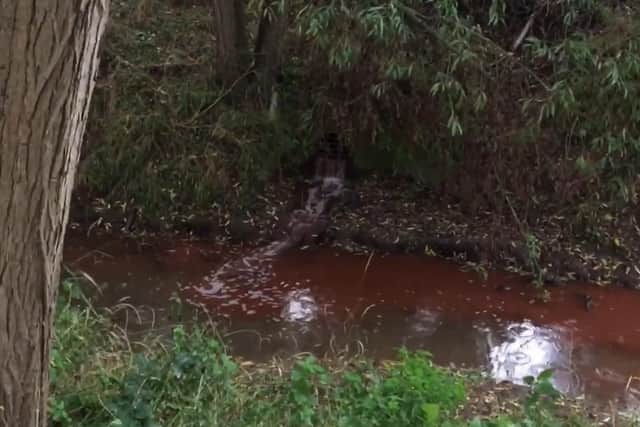 The red dye seeping into Clipstone Brook