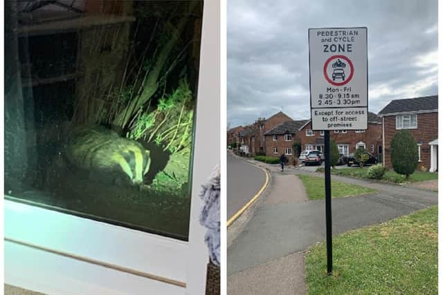 A badger in the Princes Court residents' garden, and right, Bassett Road restrictions: "Current access to the area is via narrow roads such as Basset Road, Queen Street and Mill Road."