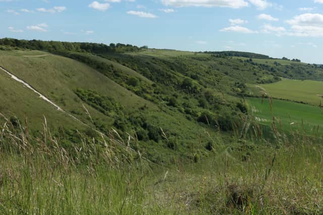 A green and pleasant Dunstable Downs, captured in June by Lisa Manning