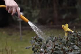File photo of a person using a hosepipe (Photo Illustration by Christopher Furlong/Getty Images)