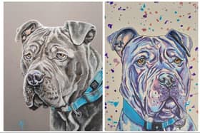 Appledown Rescue is auctioning three portraits of Kylo the XL bully, a permanent resident at the centre