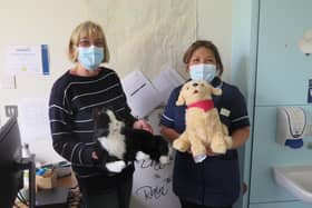 Robopets have already been introduced at care homes and MK hospital. Picture shows MK Friends chair Clare Hill with Ward Sister Annie Sarmiento following a donation of  Robopets to Ward 19 at Milton Keynes University Hospital