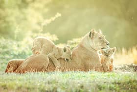 Playtime.