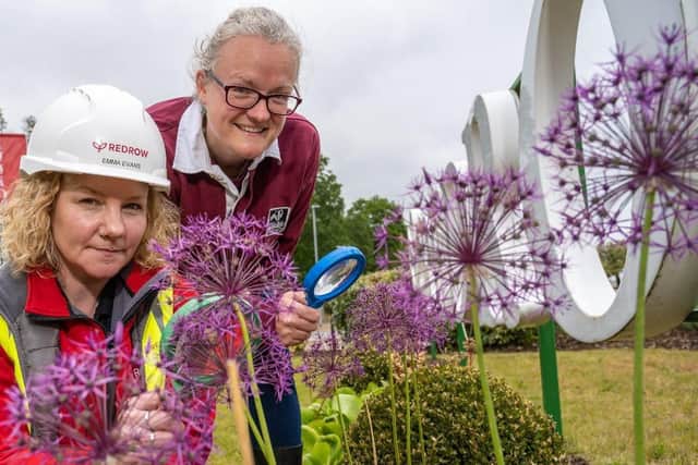 Buzzing! Leighton Buzzard housebuilder helps local children protect the ...