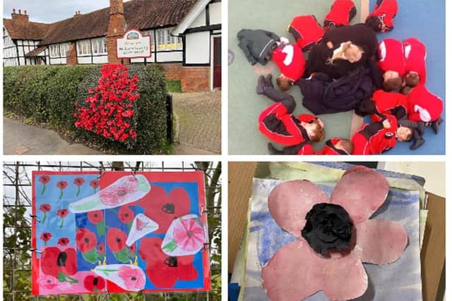 Poppy art created by Husborne Crawley Lower School students.