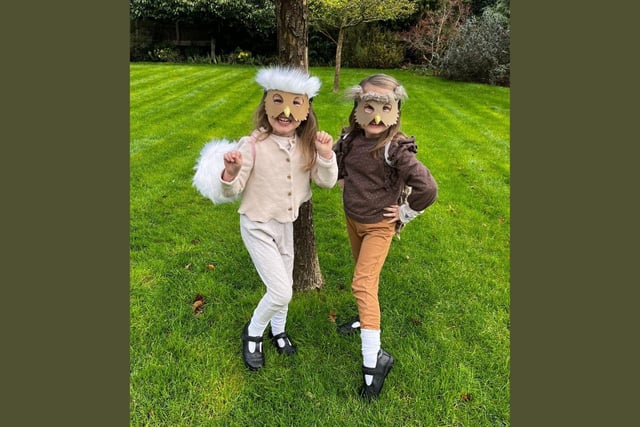 Autumn and Willow, age 4, as mummy owl and baby owl from Owl Babies