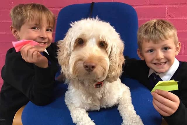 Milo the therapy dog is a “key member of staff” at The Rushmere Park Academy and Nursery