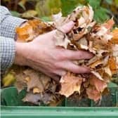 Garden waste collections restart in Central Beds from February 27