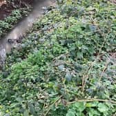 Residents have raised concerns about sewage overflow in Leighton Buzzard
