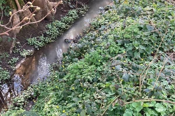 Residents have raised concerns about sewage overflow in Leighton Buzzard