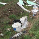 Some of the rubbish littering the roadside - including an abandoned toilet. PIC: Tony Margiocchi