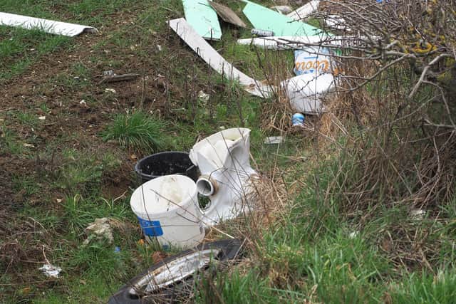 Some of the rubbish littering the roadside - including an abandoned toilet. PIC: Tony Margiocchi