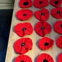 Selection of Students Poppies