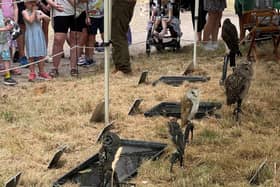 Birds of Bray at Linslade Canal Festival. Image supplied by Chris Hines.