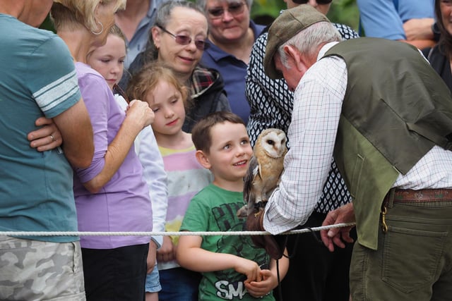 Jacob Kaye, 5, gets up close and personal with an owl
