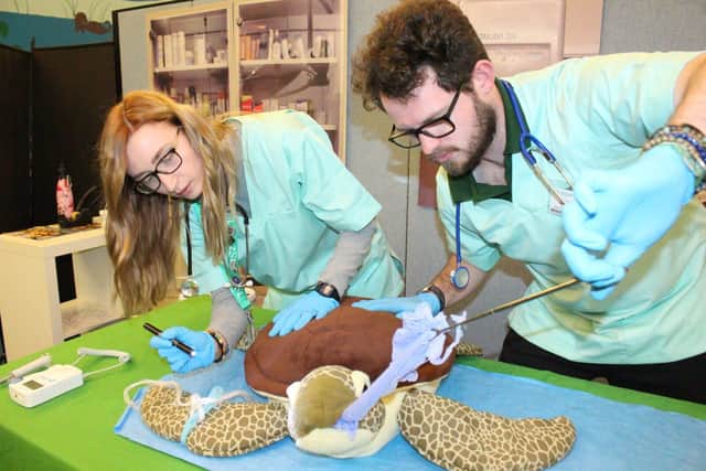 Whipsnade Zoo shows how to examine a (cuddly) turtle at Vets in Action