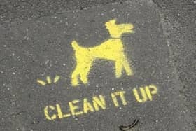 An angry dad has hit out about an increase of dog fouling near a Leighton Buzzard school