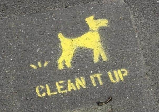 An angry dad has hit out about an increase of dog fouling near a Leighton Buzzard school