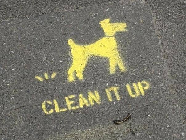 An angry dad has hit out about an increase of dog fouling near a Leighton Buzzard school