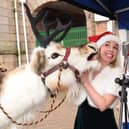 Next weekend's Christmas Festival Weekend promises some fabulous live entertainment