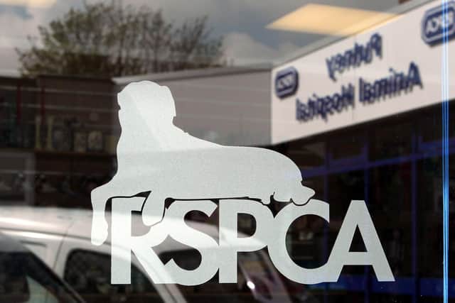 Calls to the RSPCA between July and September rose from 27 to 38 year-on-year