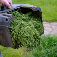 Garden waste collections to stop for winter across Central Bedfordshire