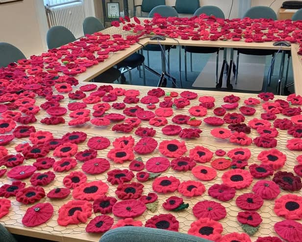 Poppies at the town council offices. Image: Leighton-Linslade Town Council.