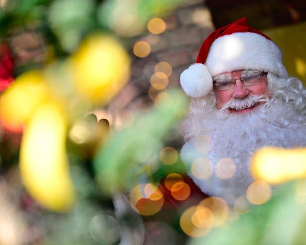 Father Christmas (Photo by TOBIAS SCHWARZ/AFP via Getty Images)