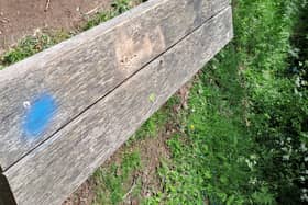 Vandals damaged badger sculptures, benches and trees